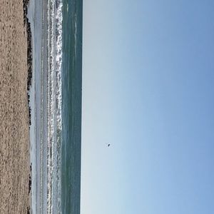 Meet your Posher, Julissa